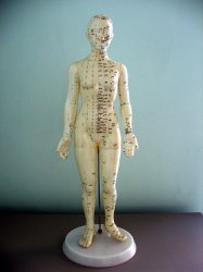 Acupuncture body map